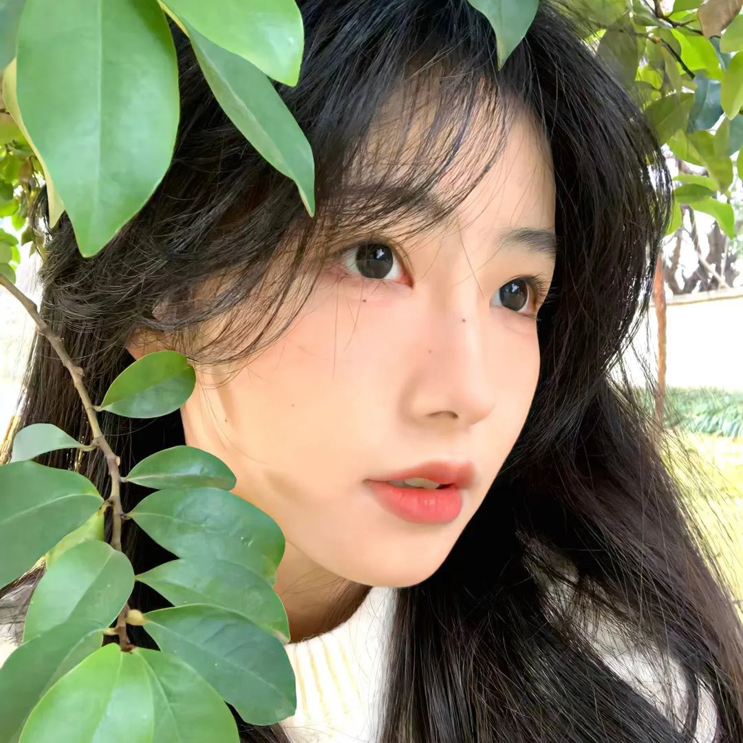 珠散不知昭安念