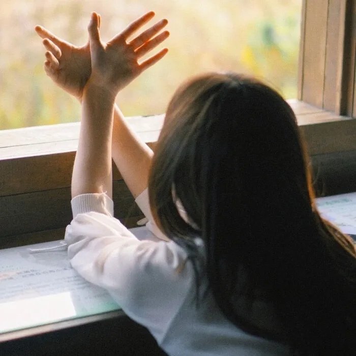 不必借光我即星辰